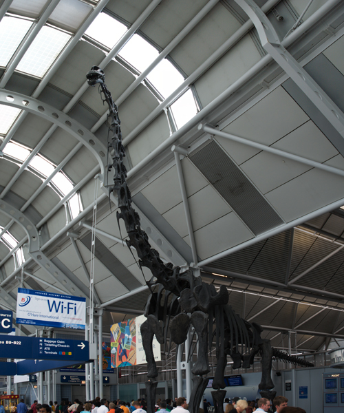 O'Hare's Brachiosaurus